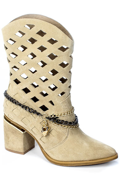 Kozaki Carinii B7179 O17-E03