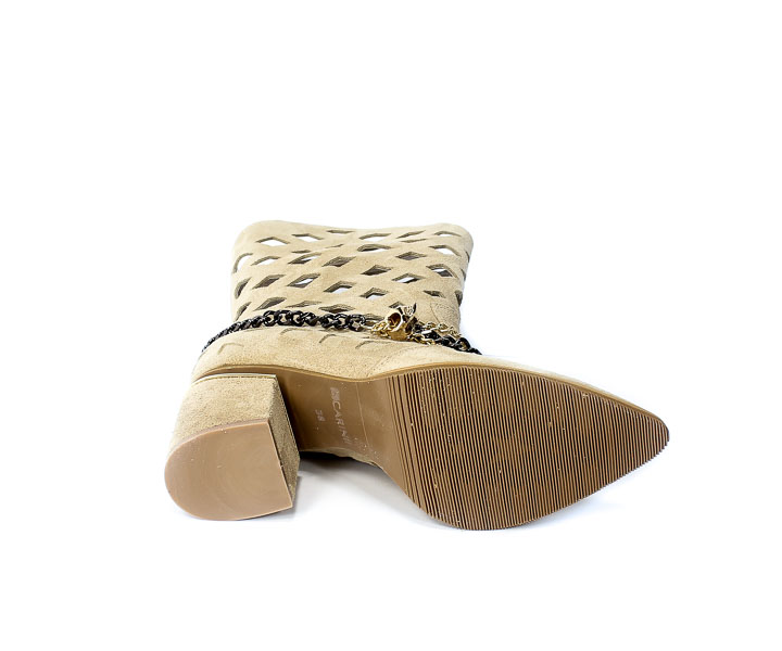 Kozaki Carinii B7179 O17-E03