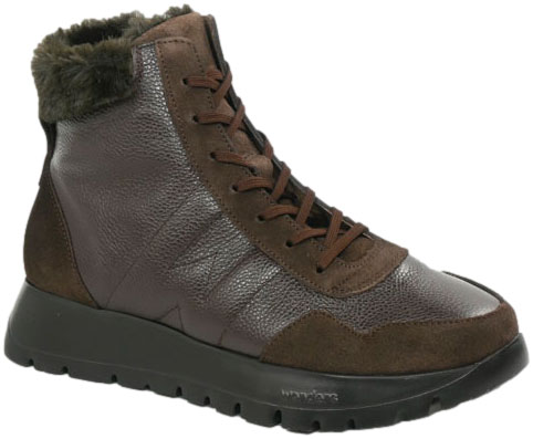 Trzewiki Wonders A-2497-Y Trend Testa Wild Coffe Skóra Naturalna